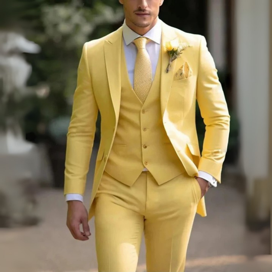 Herren Anzug 3-teilig Slim Fit | Hochzeitsgäste Für Festliche Anlässe
